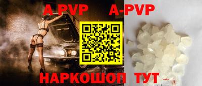 крисы Шебекино