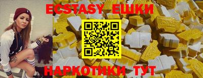 крисы Шебекино
