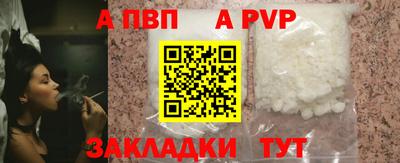 крисы Шебекино