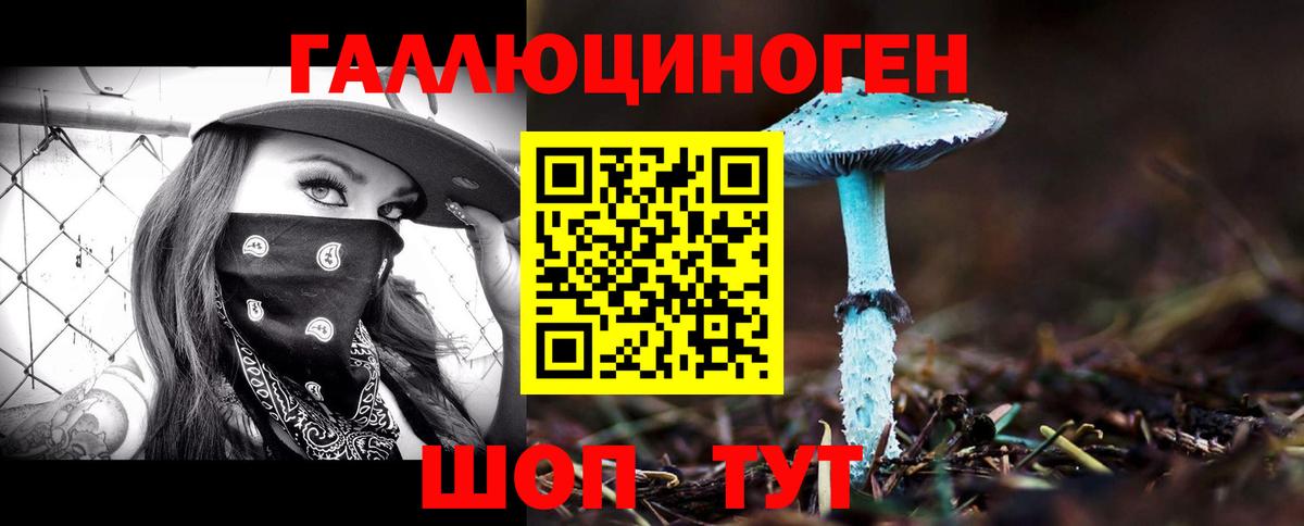Галлюциногенные грибы Psilocybe Северобайкальск